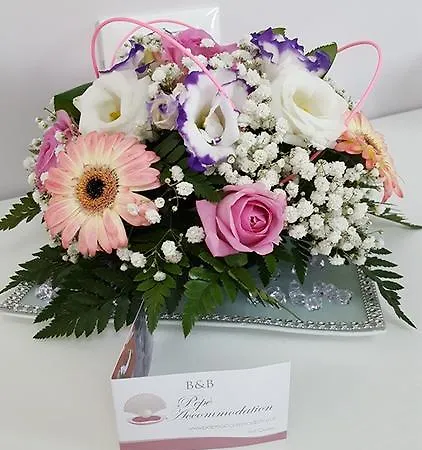 Bed & Breakfast Pepe'accommodation