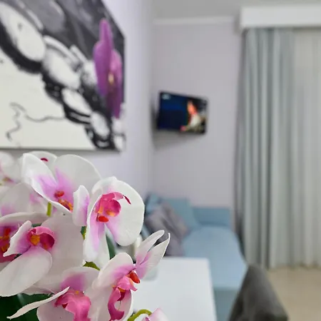 Pepe'accommodation Parghelia