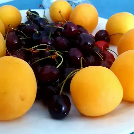 Bed and breakfast Pepe'accommodation 4*